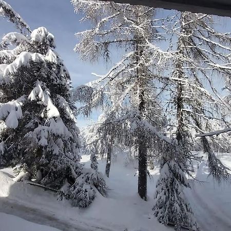 Trento, Monte Bondone, Casa Tipica Di Montagna Daire Norge Dış mekan fotoğraf