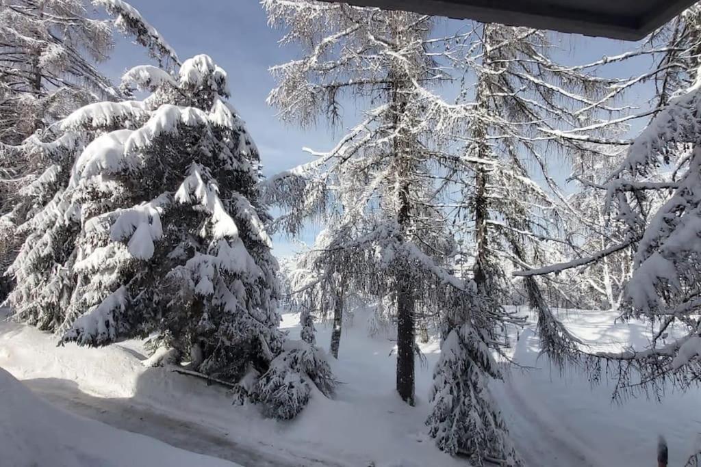 Trento, Monte Bondone, Casa Tipica Di Montagna Daire Norge Dış mekan fotoğraf